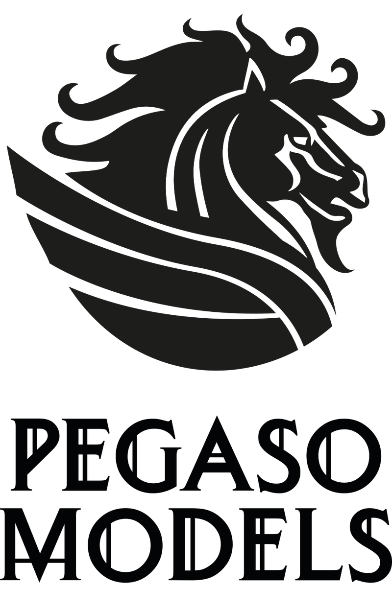 Pegaso Models