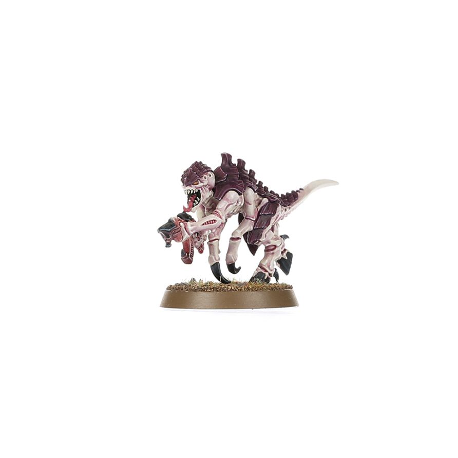 Warhammer 40,000: Introductory Set