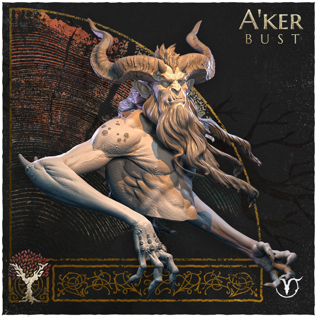A'ker, Bust