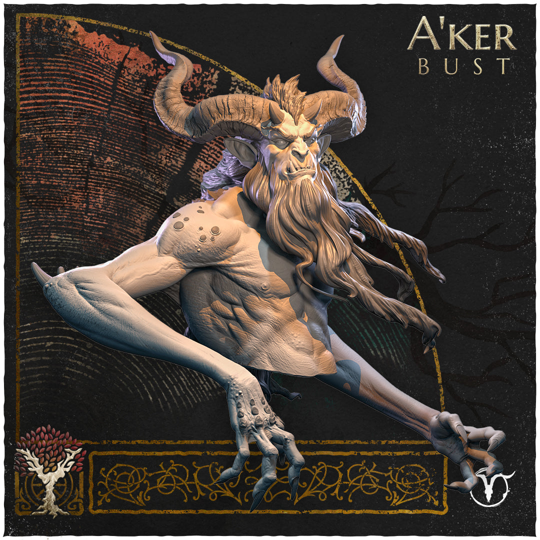 A'ker, Bust