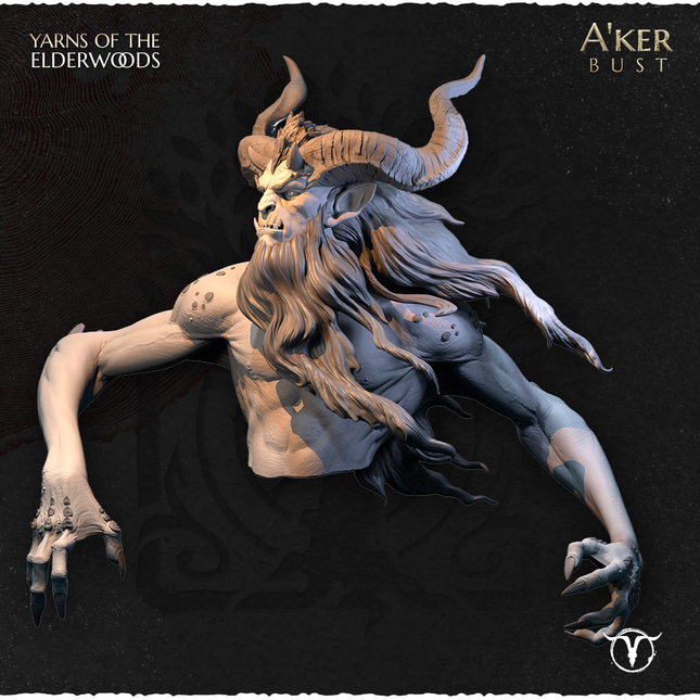 A'ker, Bust