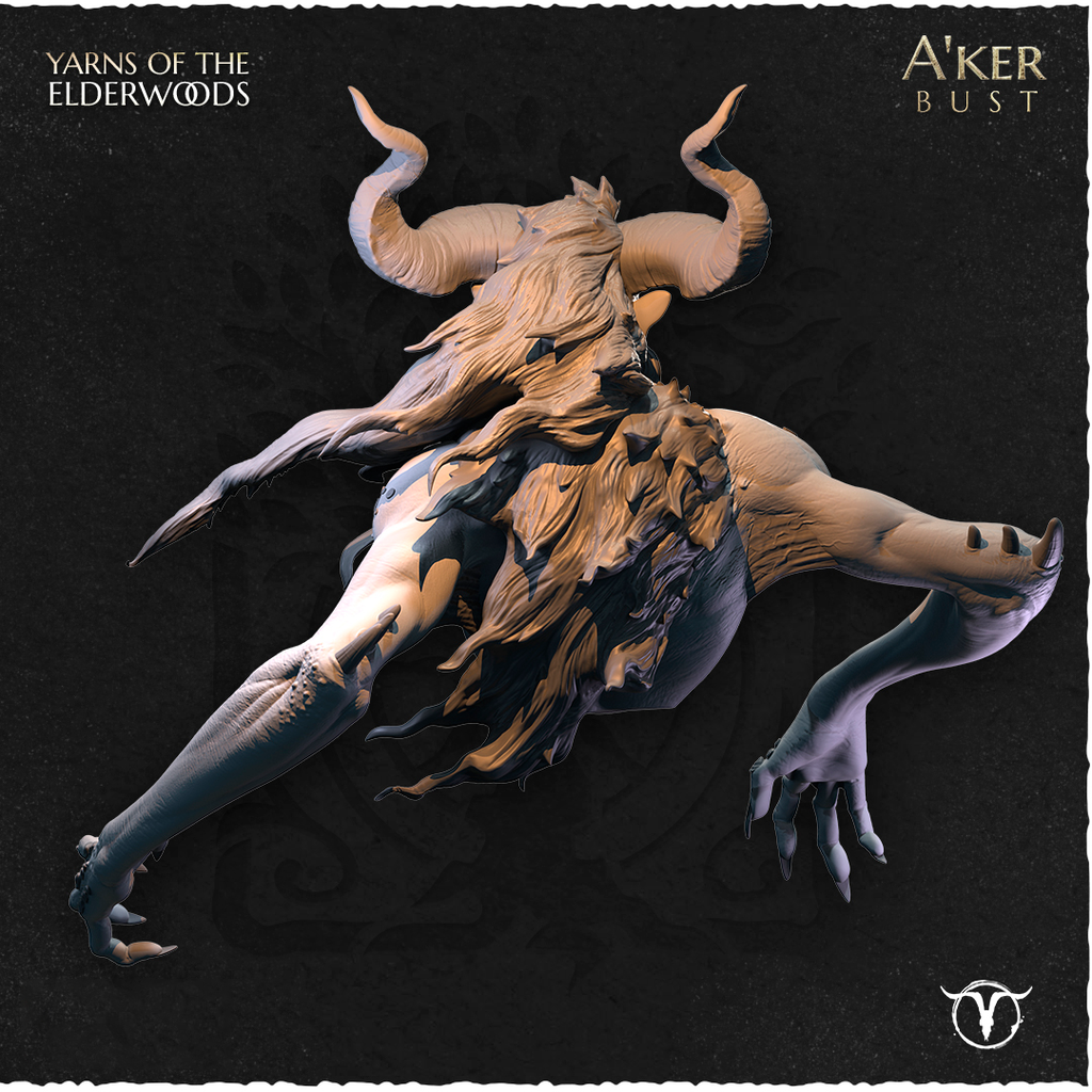A'ker, Bust