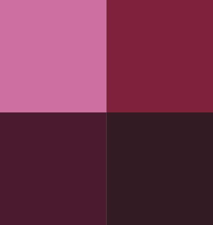 Magenta Color Set (4)