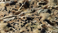 Gamers Grass Tiny Tufts - Black 1mm