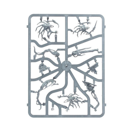 Nighthaunt: Spirit Hosts