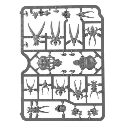 Citadel Skulls