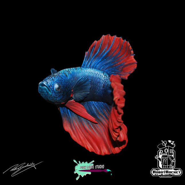 Betta (Siamese Fighting Fish)