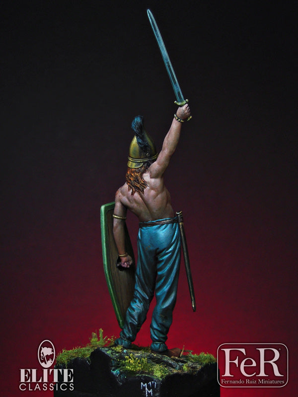 Celtic Warrior 3rd Century BC (back)