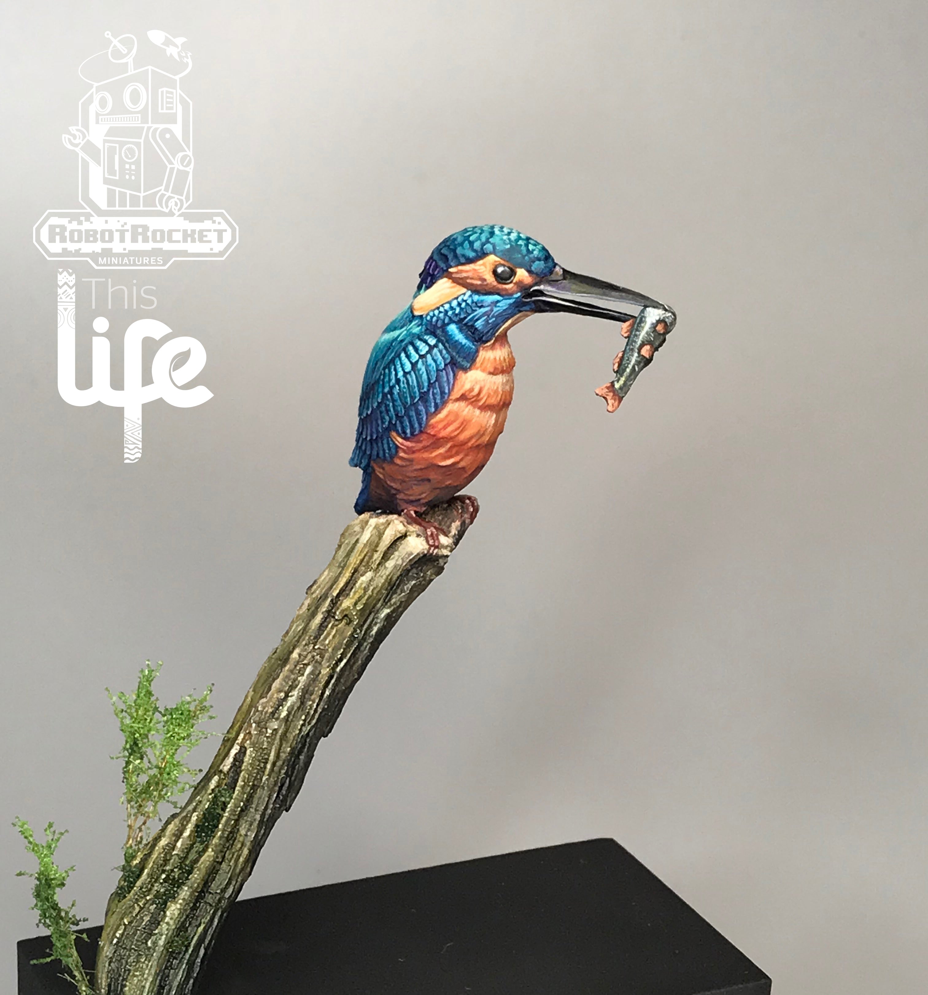 The Kingfisher