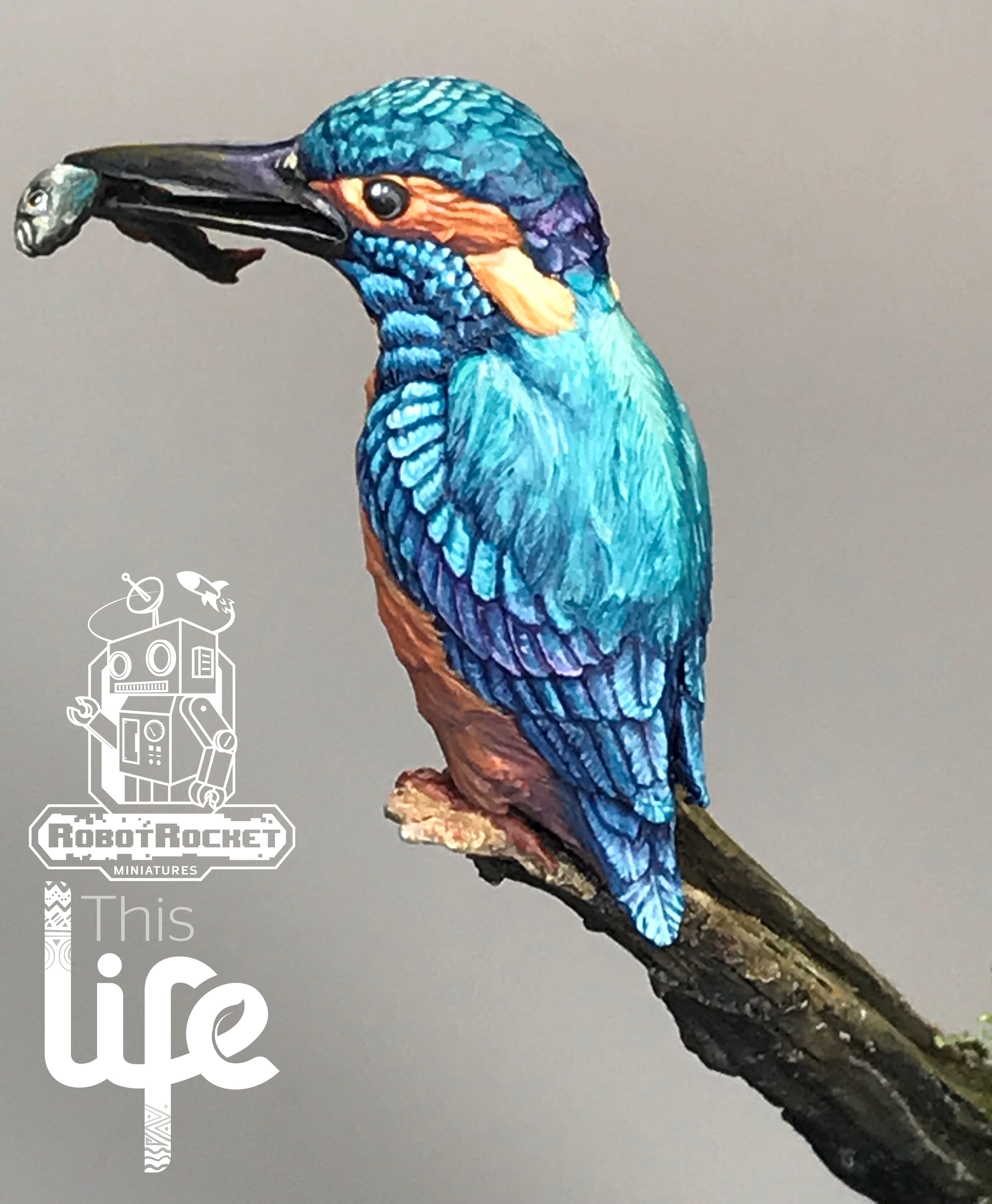 The Kingfisher