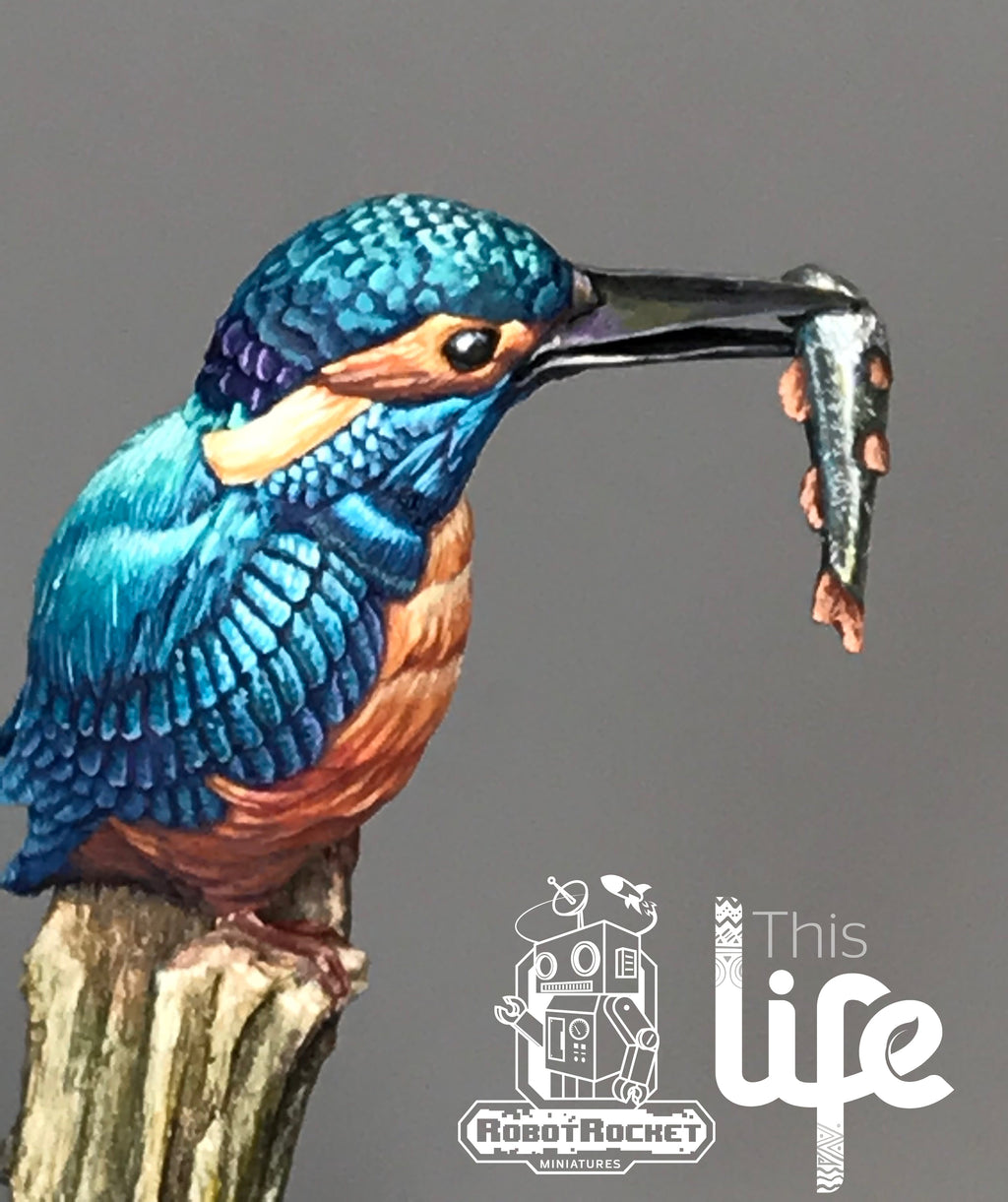 The Kingfisher