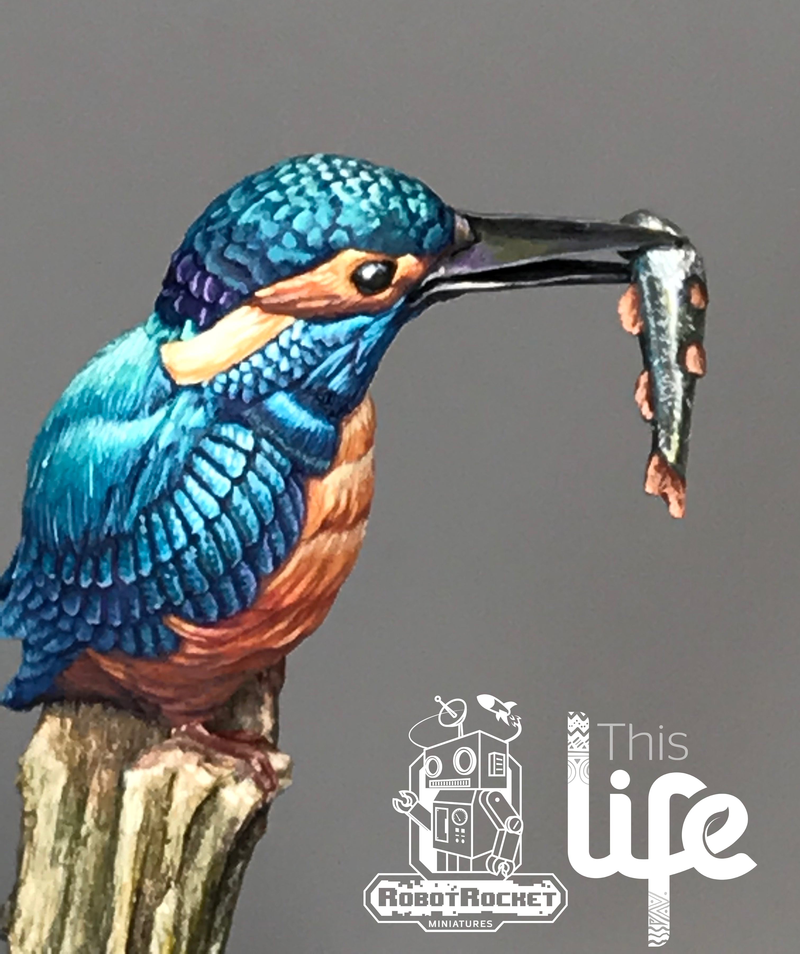 The Kingfisher
