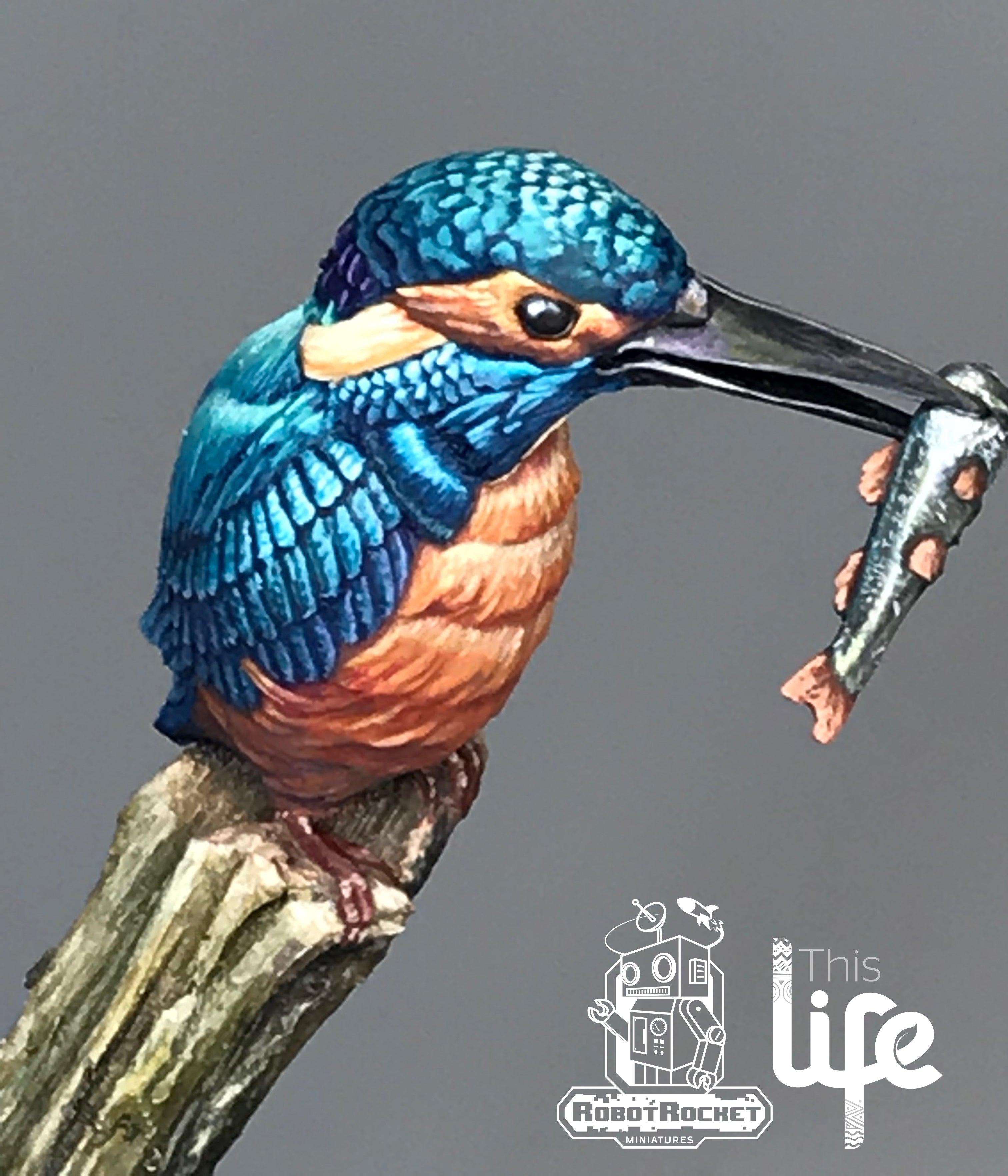 The Kingfisher