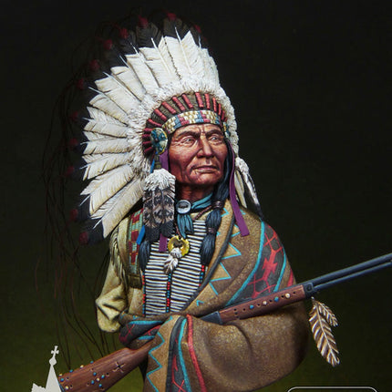 Sioux Chief, Little Big Horn, 1876 (view 2)