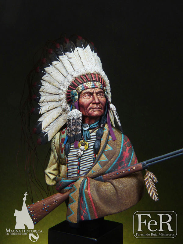 Sioux Chief, Little Big Horn, 1876 (view 2)