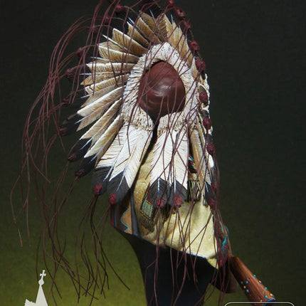 Sioux Chief, Little Big Horn, 1876 (back)