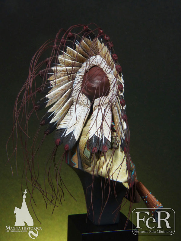 Sioux Chief, Little Big Horn, 1876 (back)