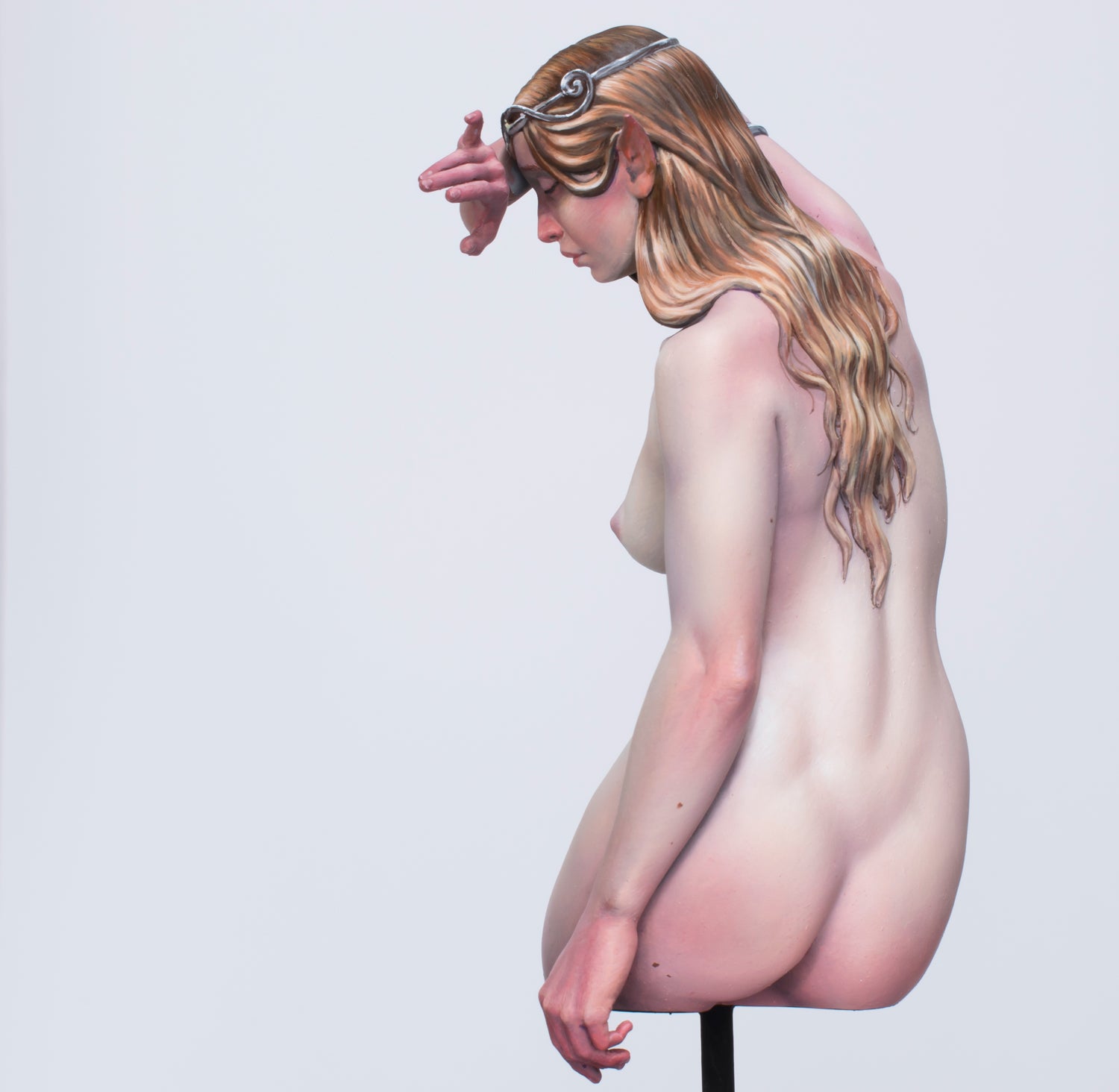 Contours of the Nude: A Study of Anatomy