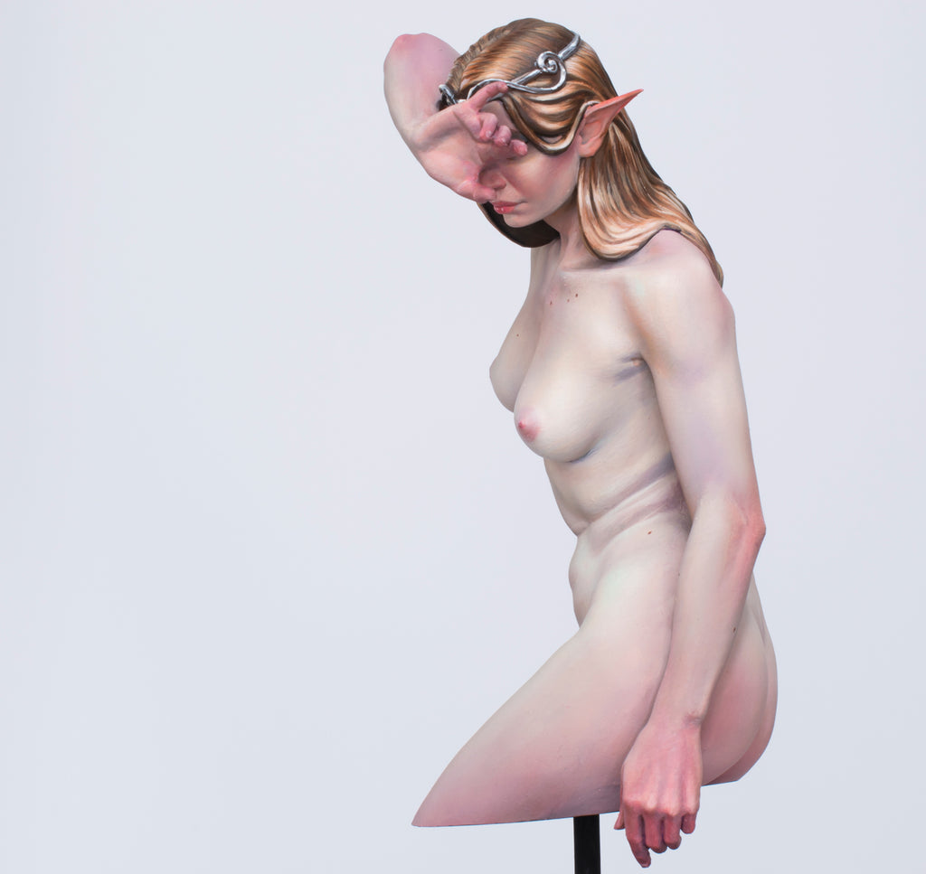 Contours of the Nude: A Study of Anatomy