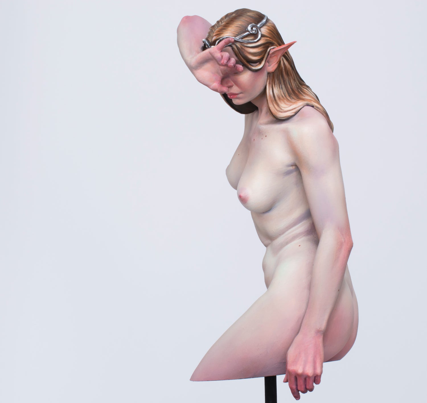 Contours of the Nude: A Study of Anatomy