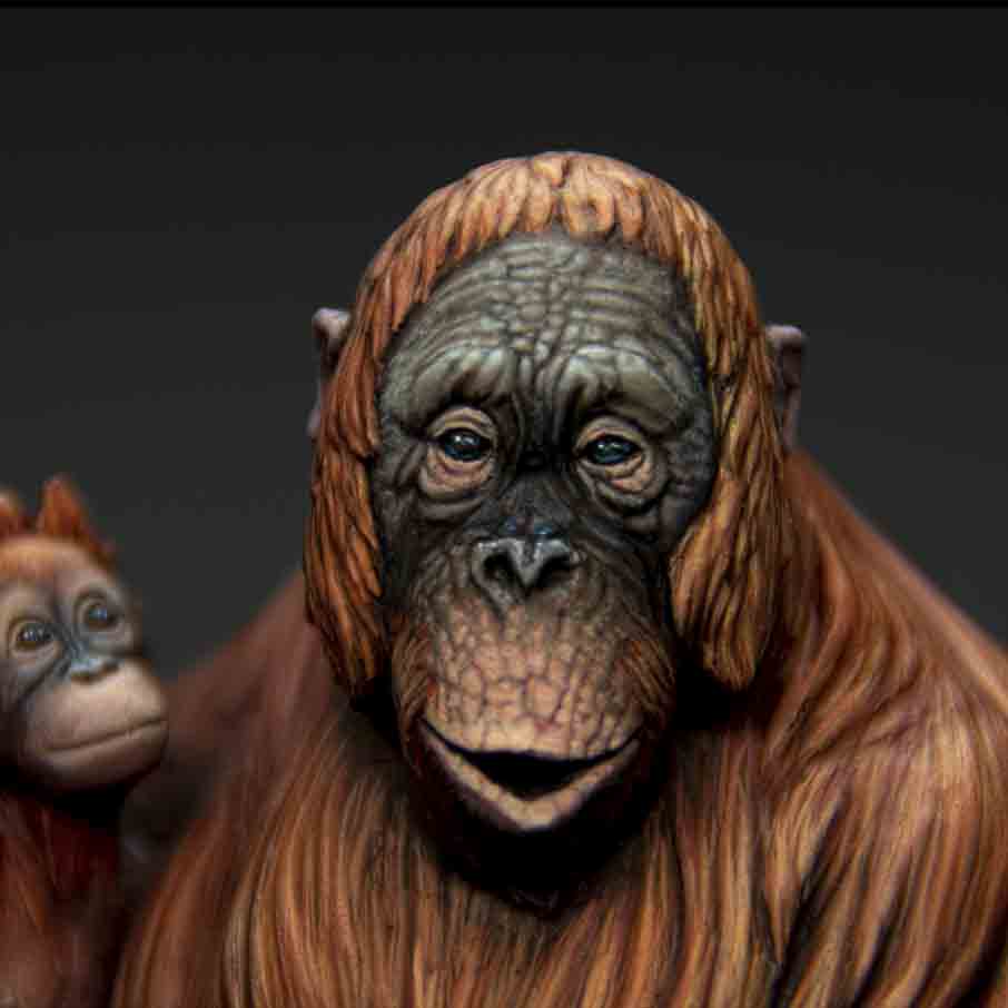 The Orangutan
