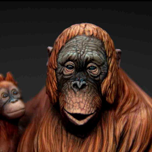 The Orangutan