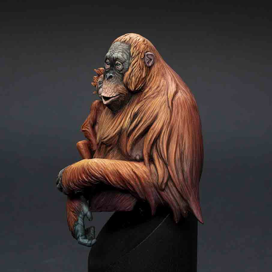 The Orangutan