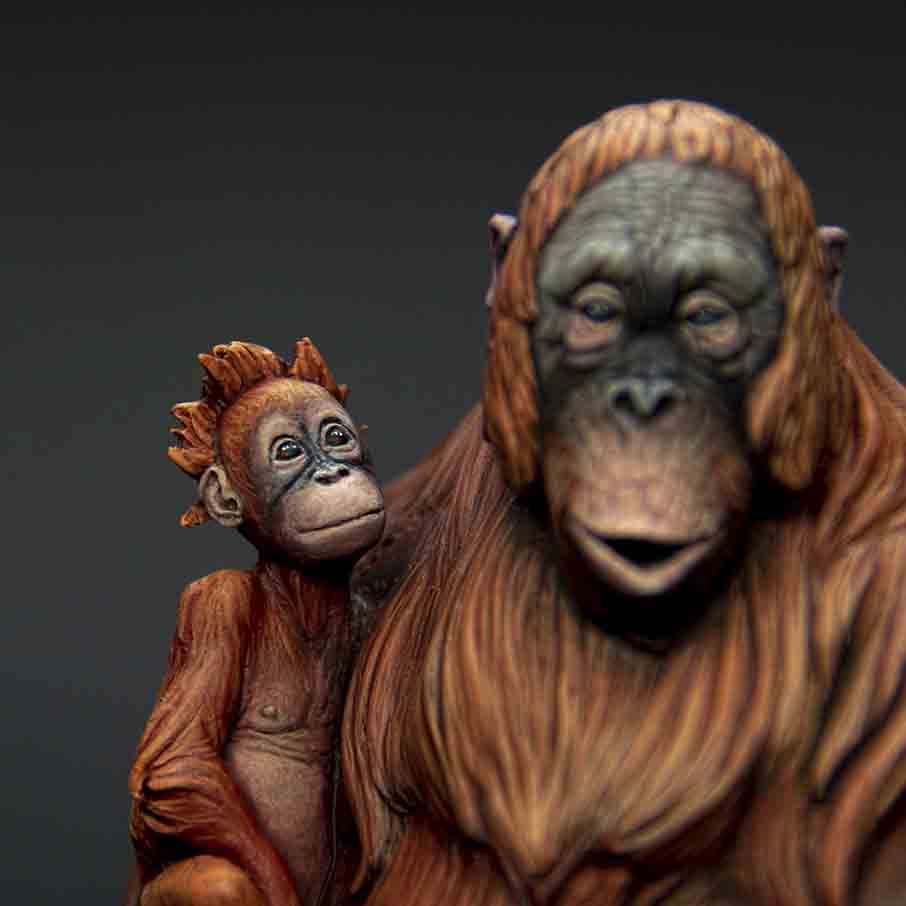 The Orangutan