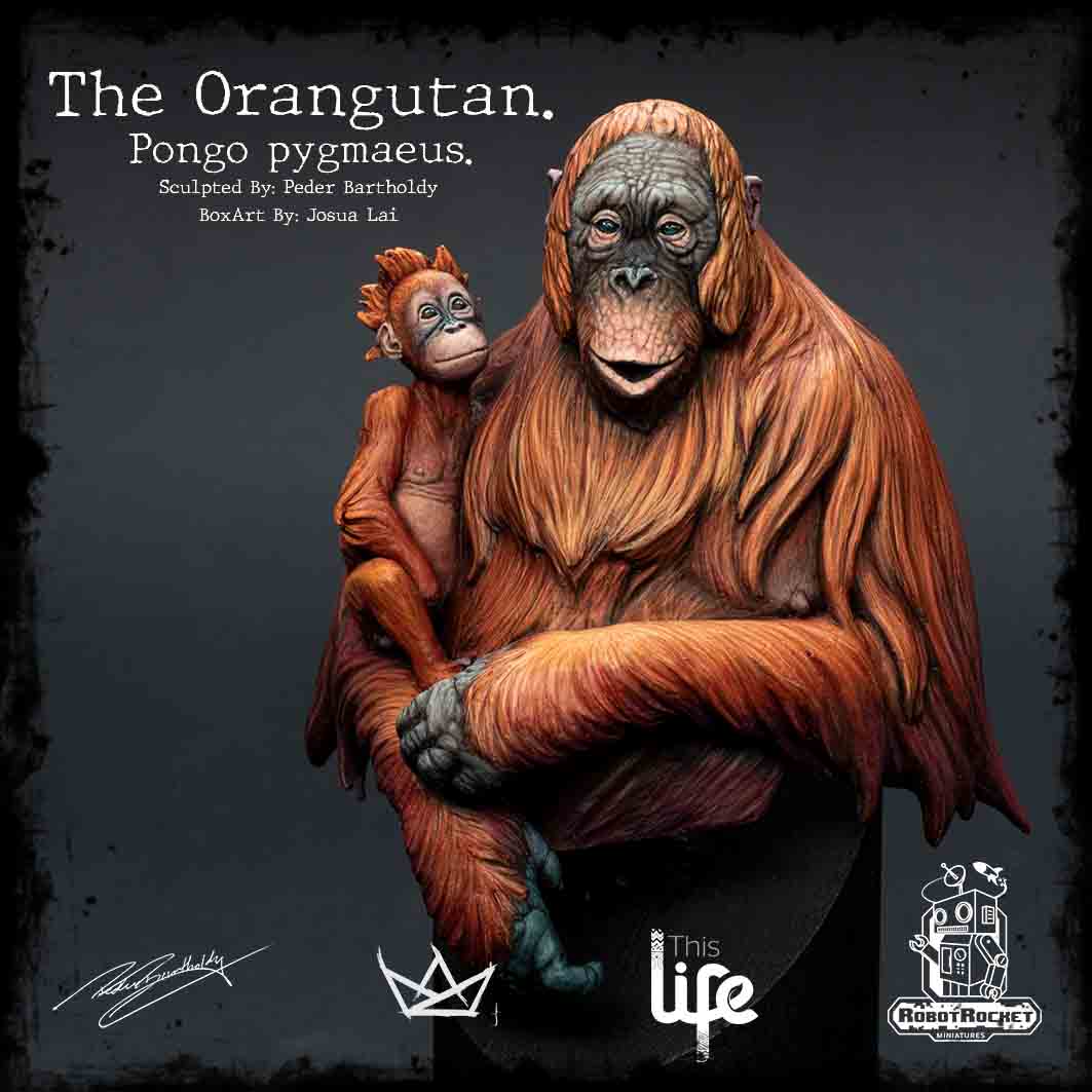The Orangutan