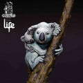 The Koala