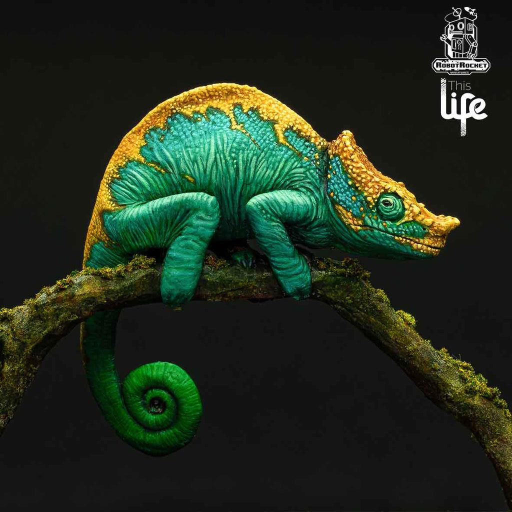 The Parson's Chameleon