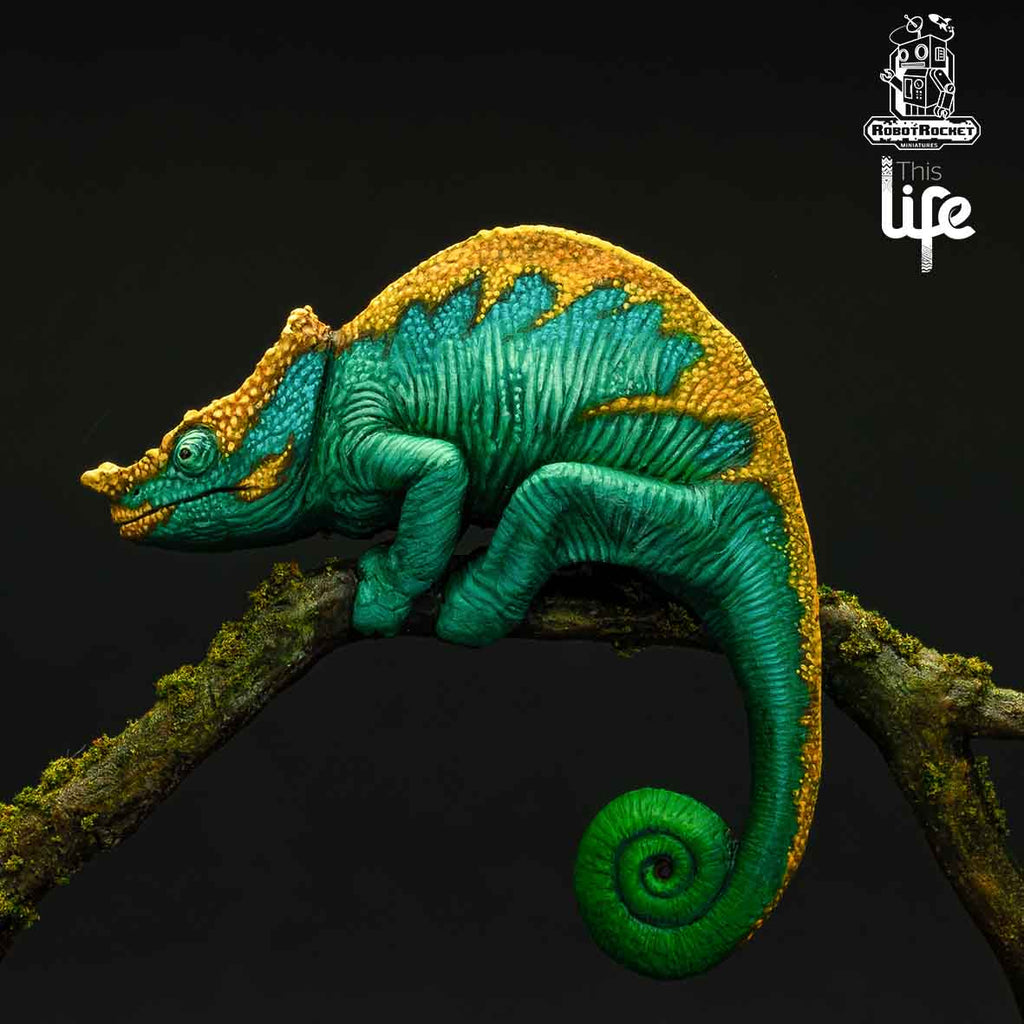 The Parson's Chameleon
