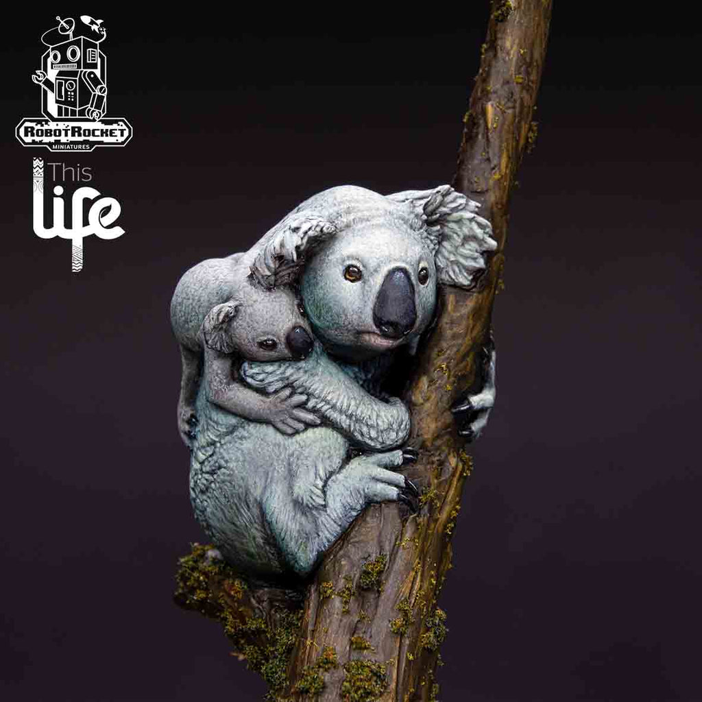 The Koala