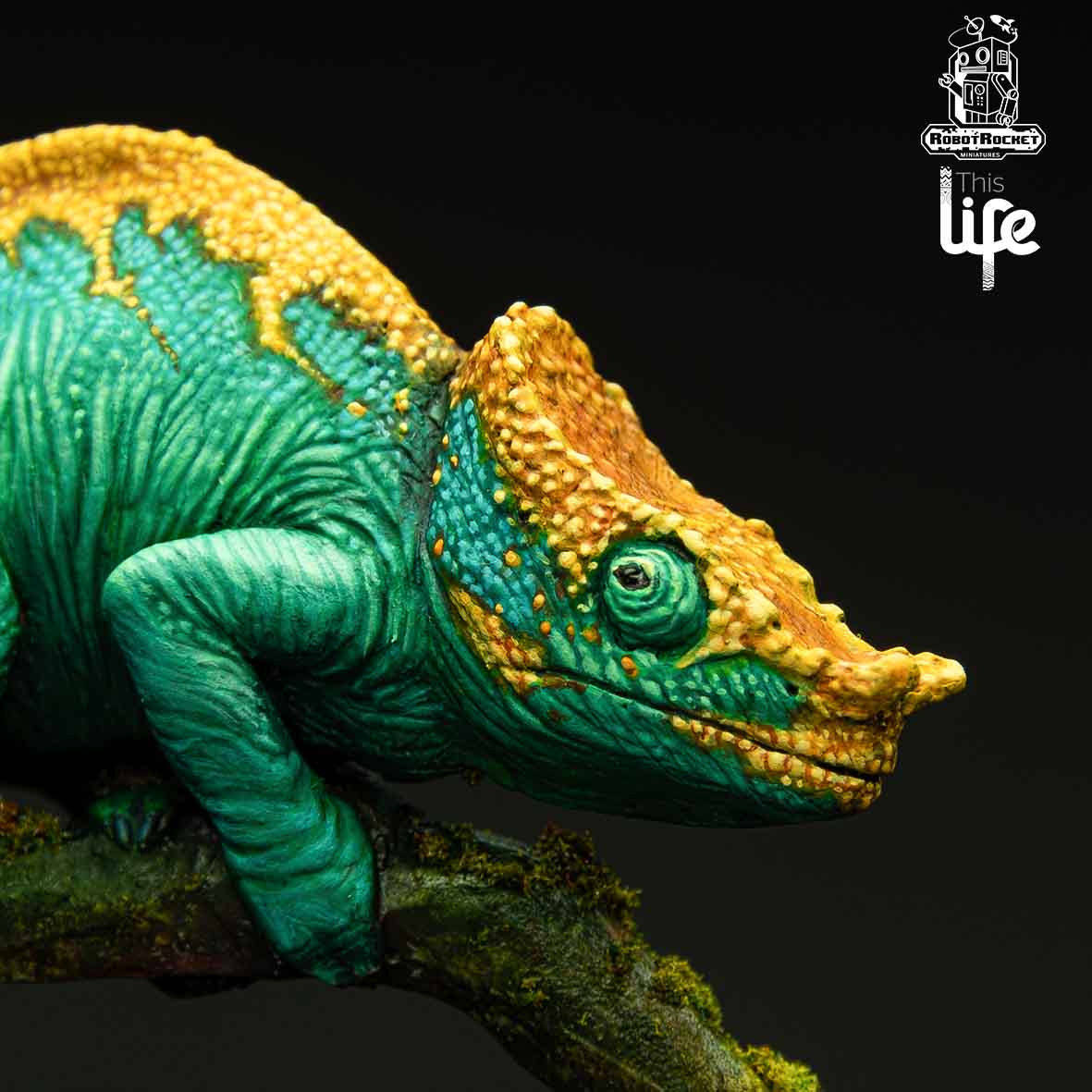 The Parson's Chameleon
