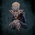 Nosferatu, Bust