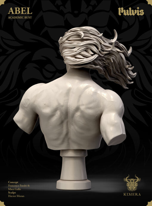 Abel, Anatomic (Academic) Bust
