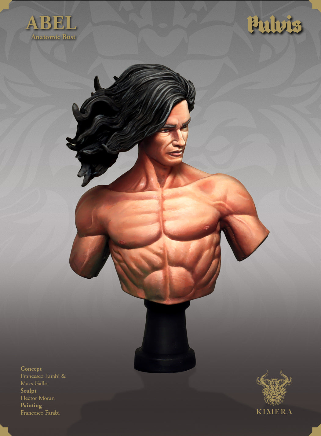 Abel, Anatomic (Academic) Bust