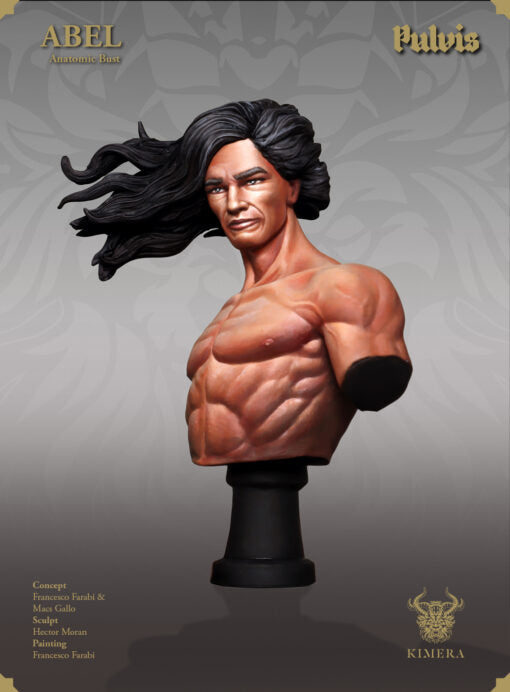Abel, Anatomic (Academic) Bust