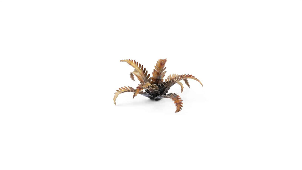 Gamers Grass Laser Plants - Alien Fern