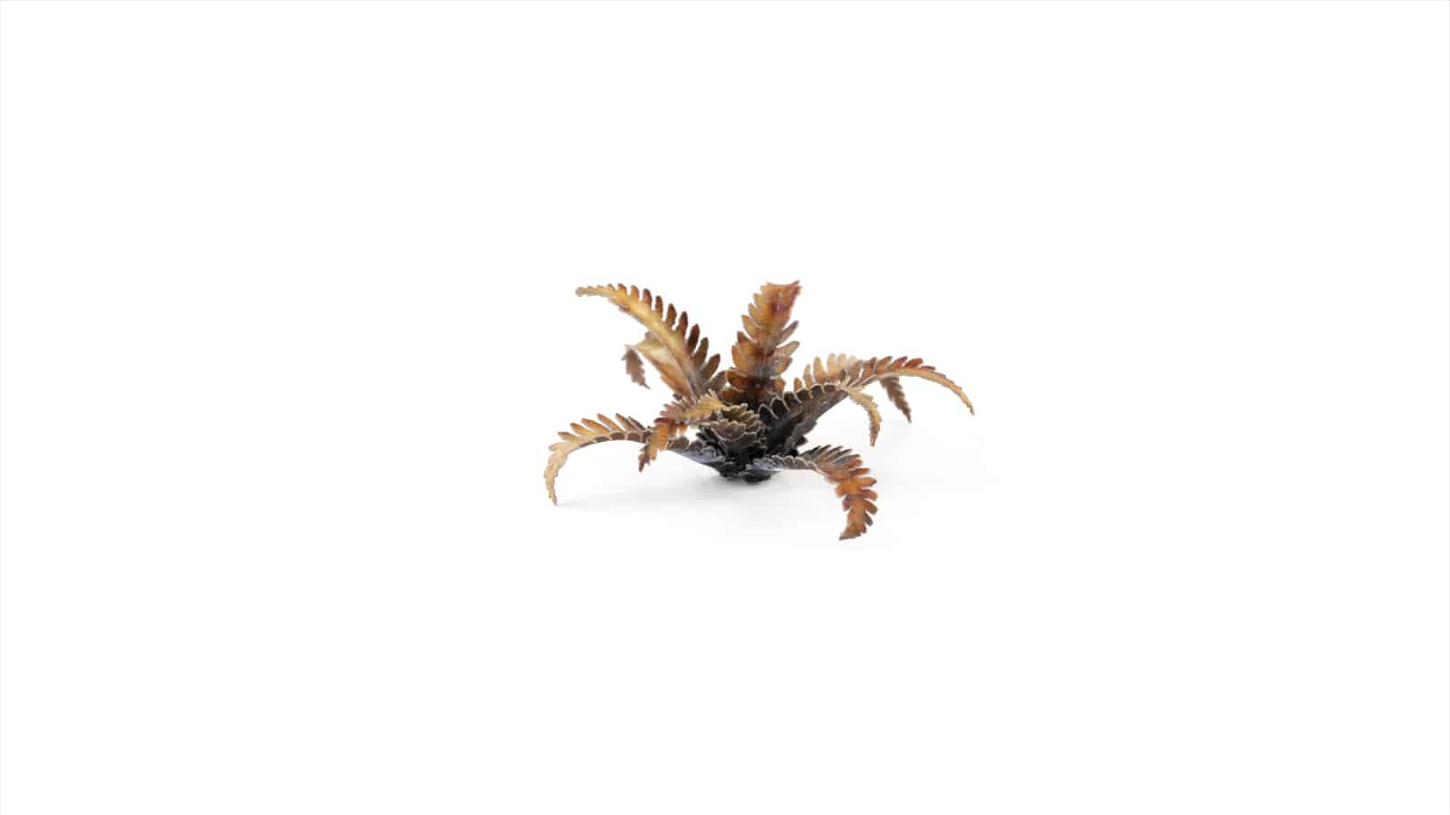 Gamers Grass Laser Plants - Alien Fern