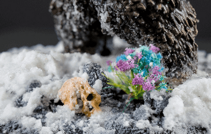 Cool Mix Flowers