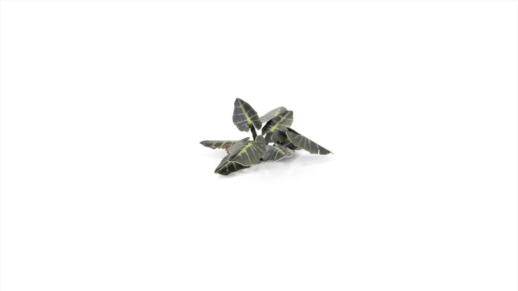 Gamers Grass Static Tuft Laser Plants - Black Magic Taro