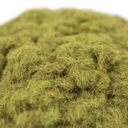 Yellowed Grass