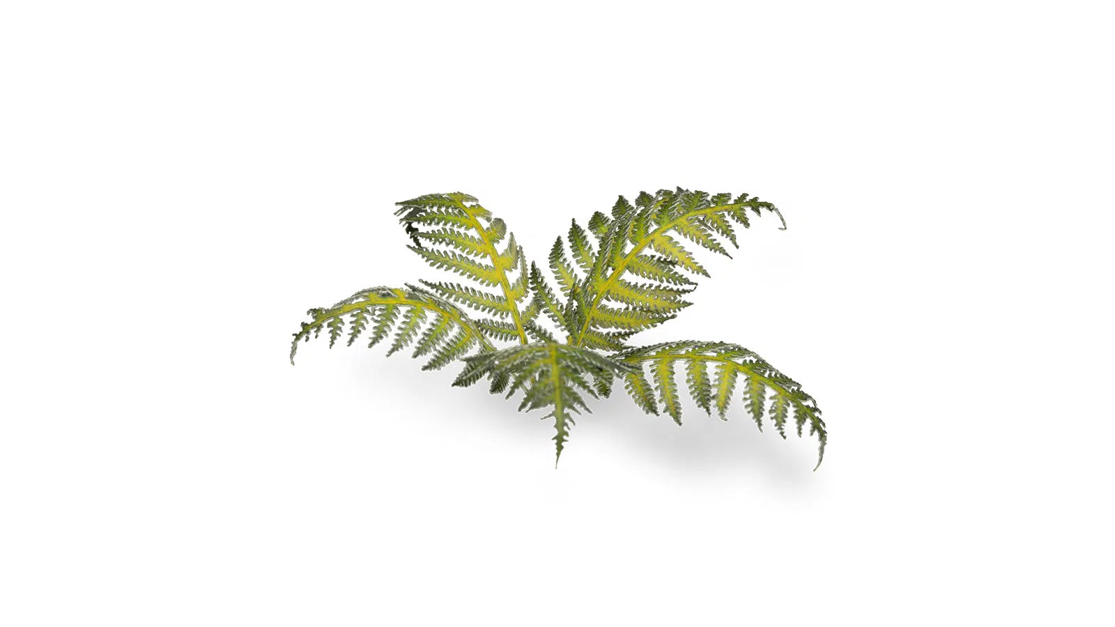 Gamers Grass Static Tuft Laser Plants - Bracken