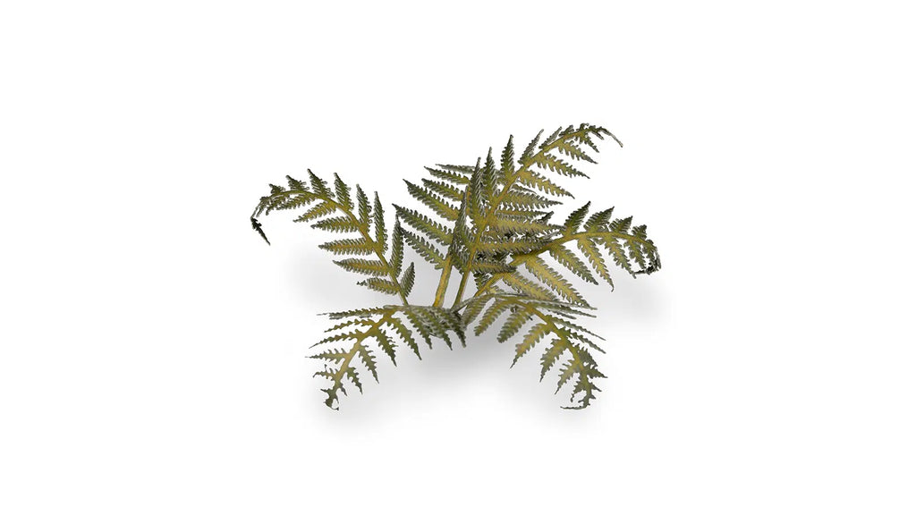Gamers Grass Static Tuft Laser Plants - Bracken