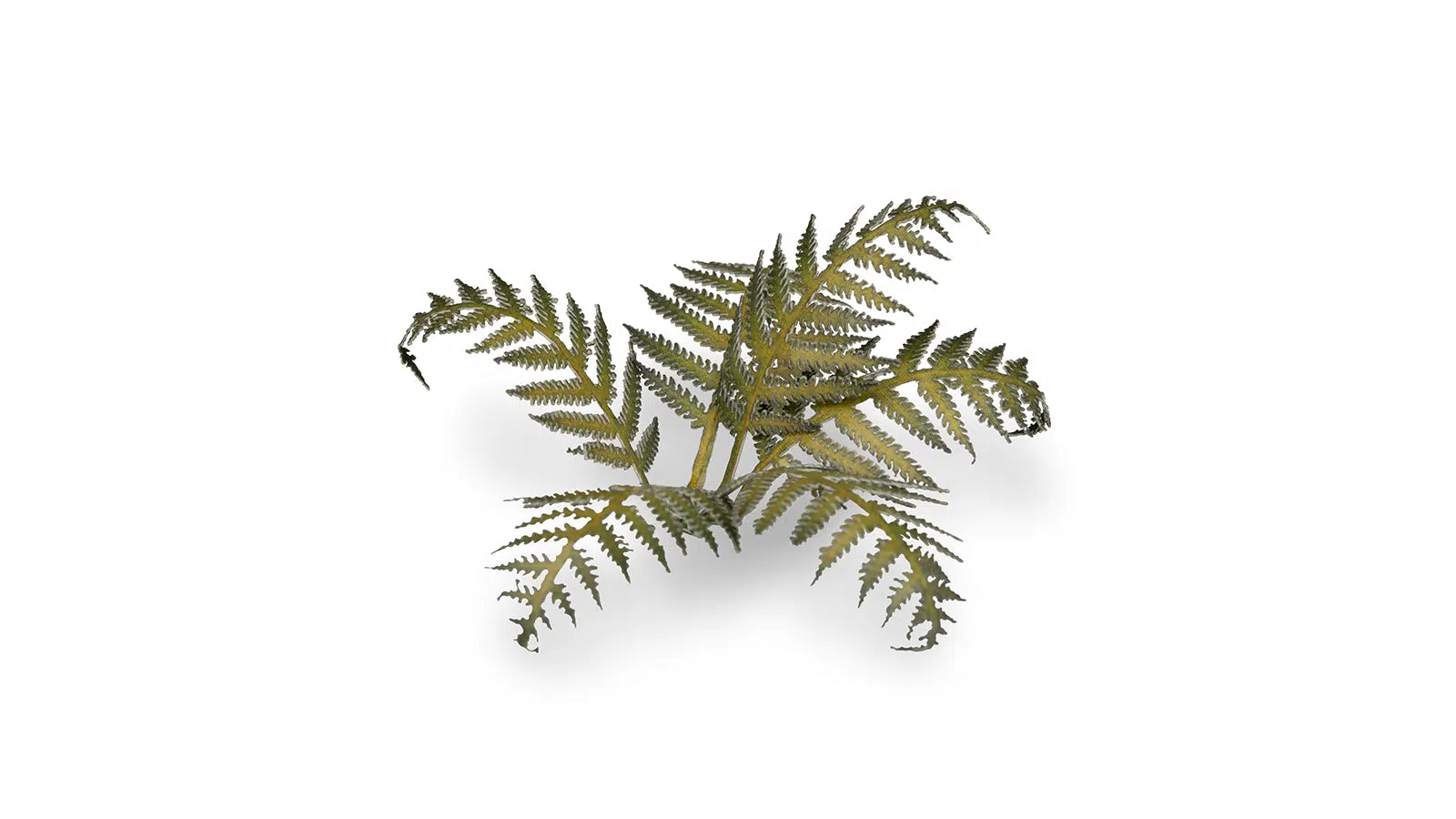 Gamers Grass Static Tuft Laser Plants - Bracken