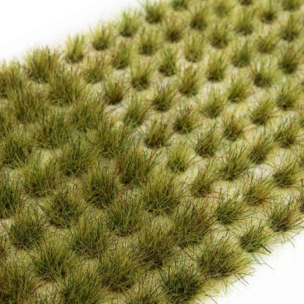 Burnt Grass Tufts