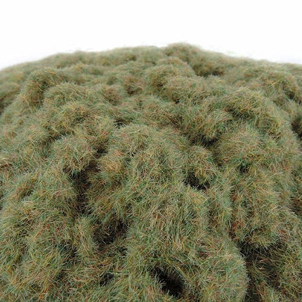 Burnt Grass