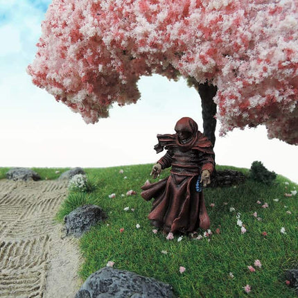 Cherry Blossom