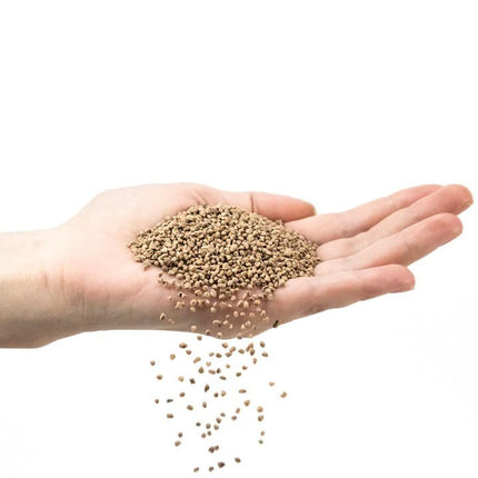 Coarse Grit